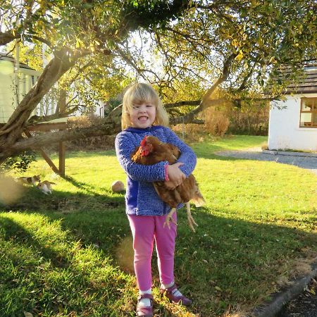Heatherhill Farm Cottage In Letterfrack Beside Connemara National Park المظهر الخارجي الصورة