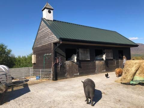 Heatherhill Farm Cottage In Letterfrack Beside Connemara National Park المظهر الخارجي الصورة