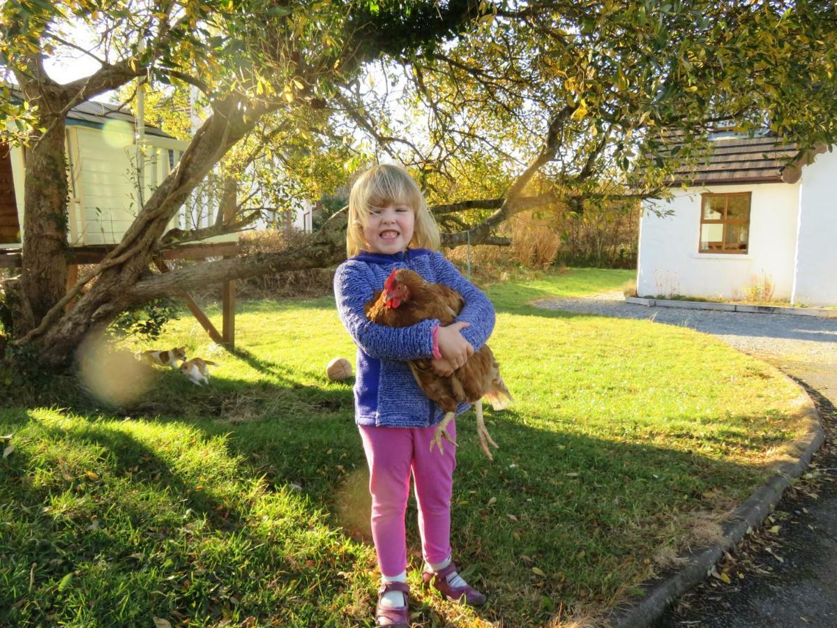 Heatherhill Farm Cottage In Letterfrack Beside Connemara National Park المظهر الخارجي الصورة
