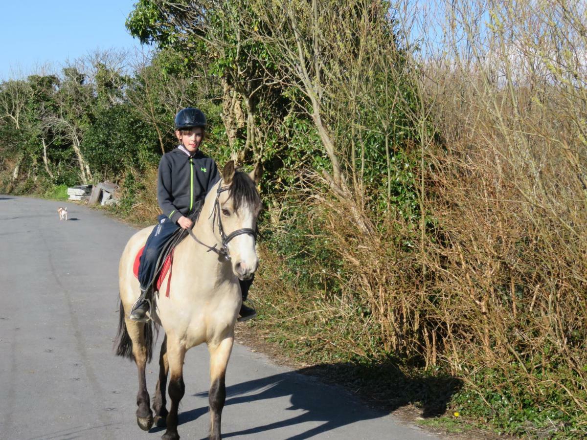 Heatherhill Farm Cottage In Letterfrack Beside Connemara National Park المظهر الخارجي الصورة